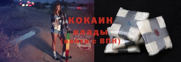 шишки Алзамай