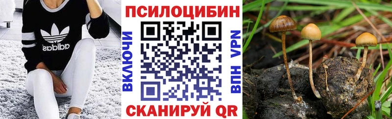 Галлюциногенные грибы MAGIC MUSHROOMS  нарко площадка как зайти  Вилюйск 